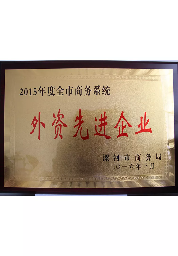 Advanced foreign capital enterprise